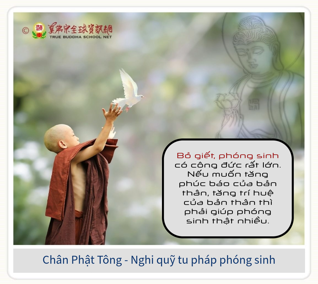 Ảnh minh họa Nghi quỹ tu pháp phóng sinh trong Chân Phật Tông